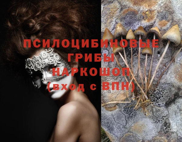 марки lsd Магадан